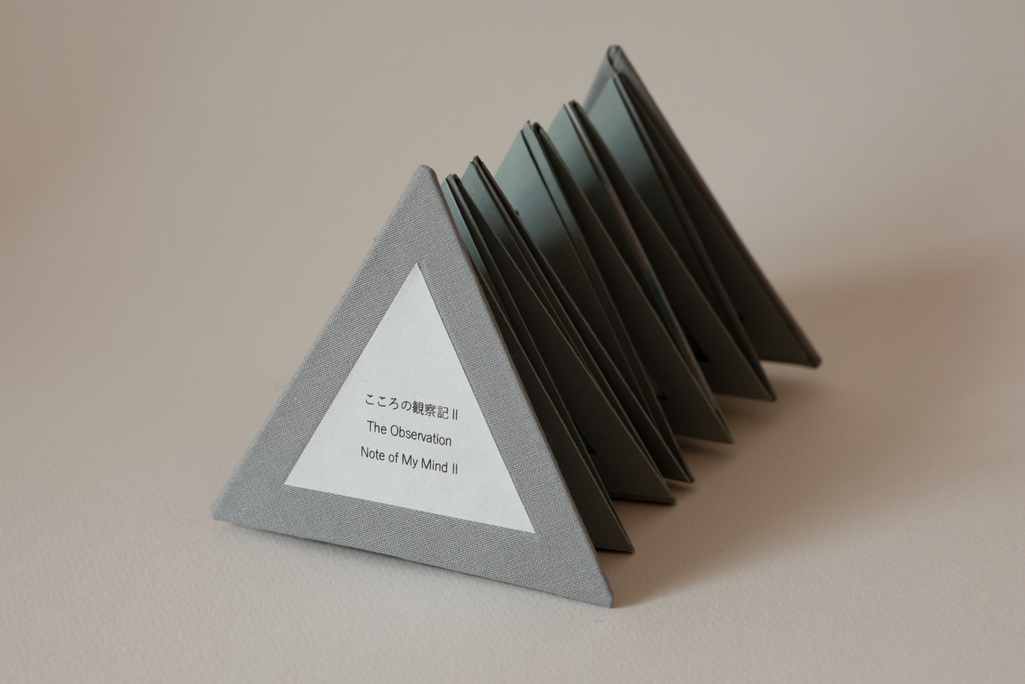 こころの観察記II / The Observation Note of My Mind II 2026